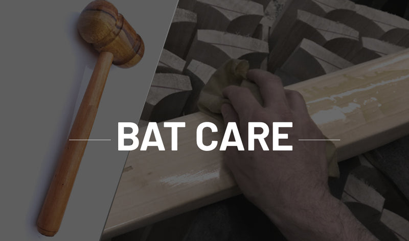 Cricket Bat Care