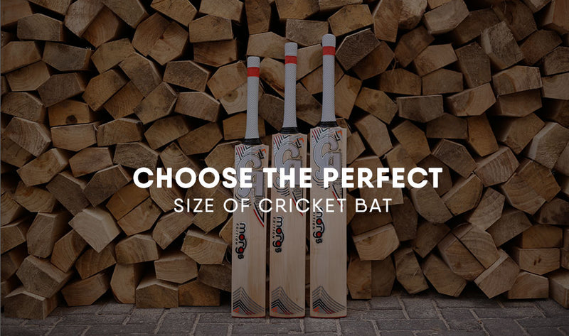 choose cricket bat perfect size
