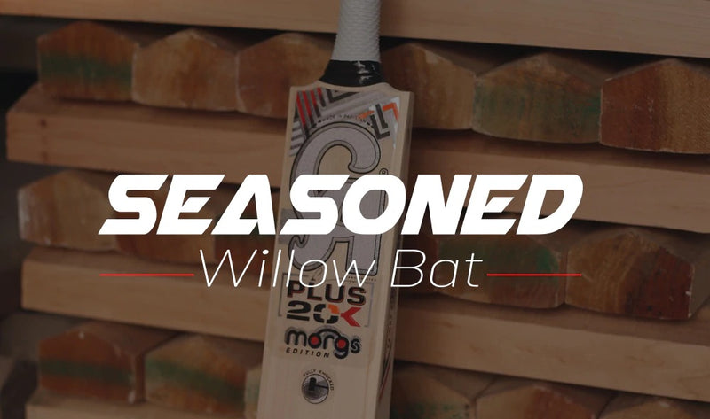 seasoned willow bat