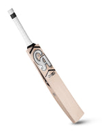 jason roy 20 limited edition cricket bat 