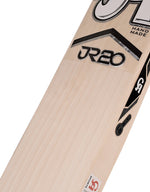jason roy 20 limited edition cricket bat 