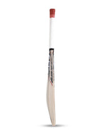 Morgan junior 1.0 cricket bat