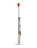 Morgan junior 3.0 cricket bat